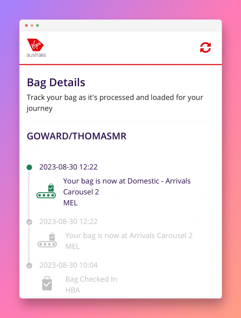 Bag Details