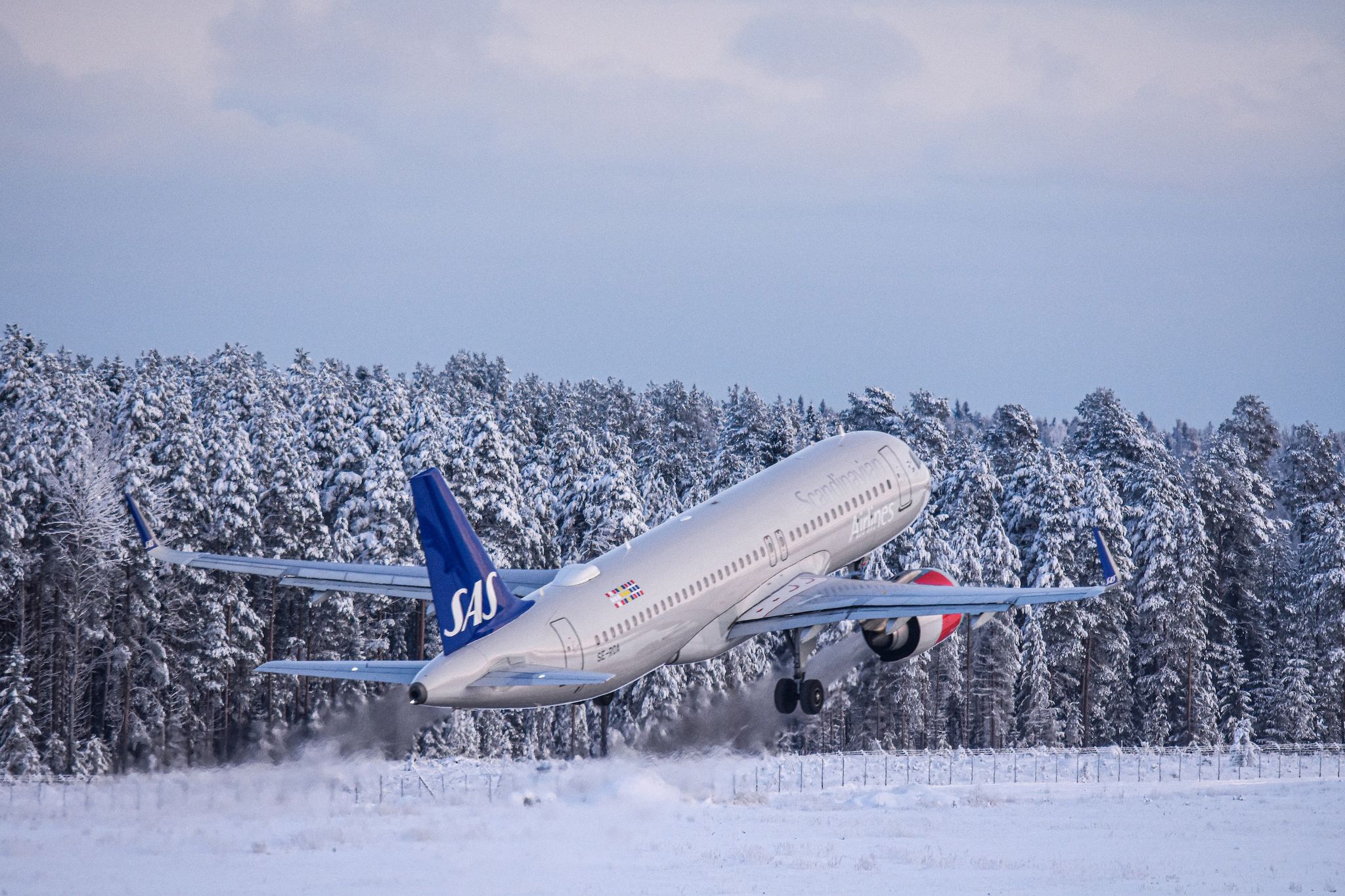 SAS EuroBonus status match