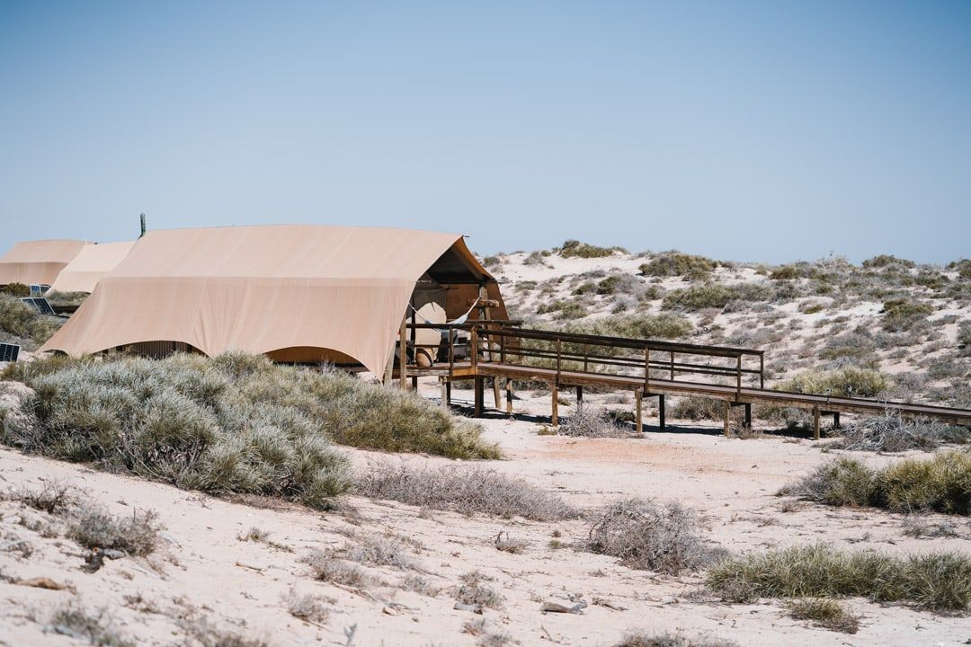 Luxury Glamping At Sal Salis Ningaloo Reef