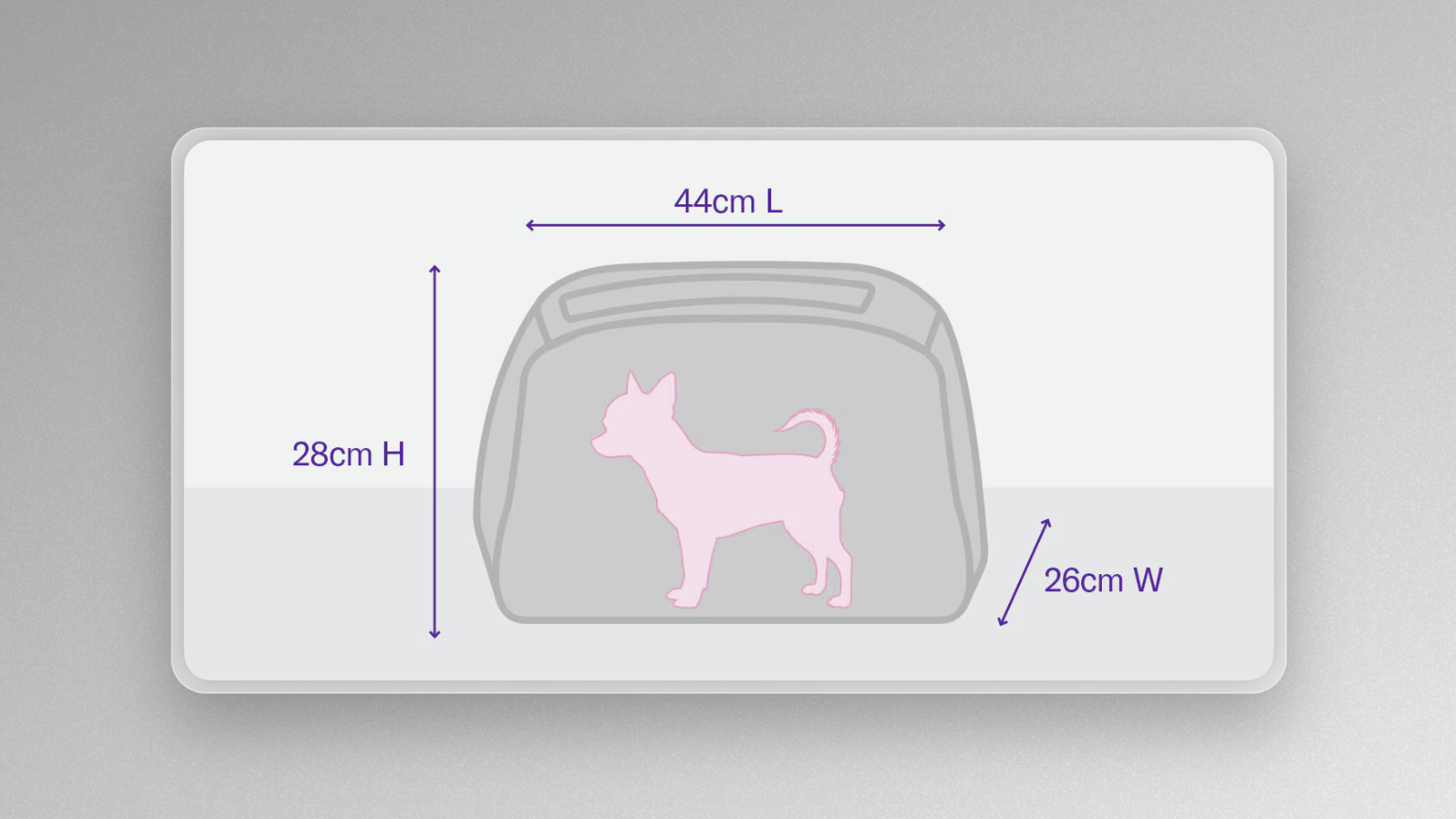Virgin Australia Pets In Cabin Guide