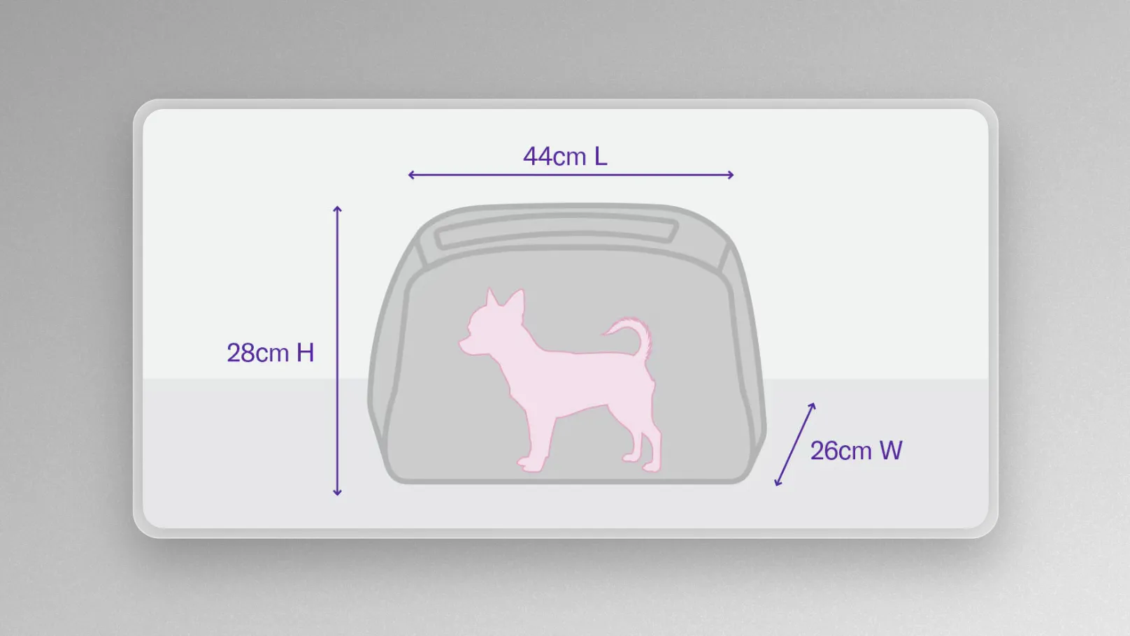 Virgin Australia Pets In Cabin Guide