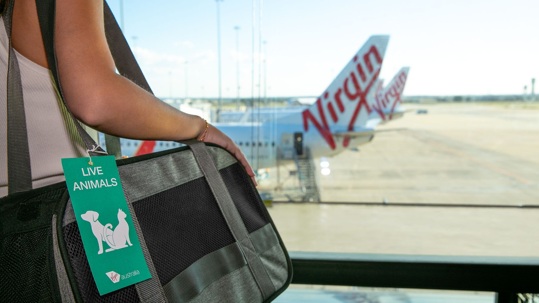 Virgin Australia Launches First Pets-Friendly Flights In Australia