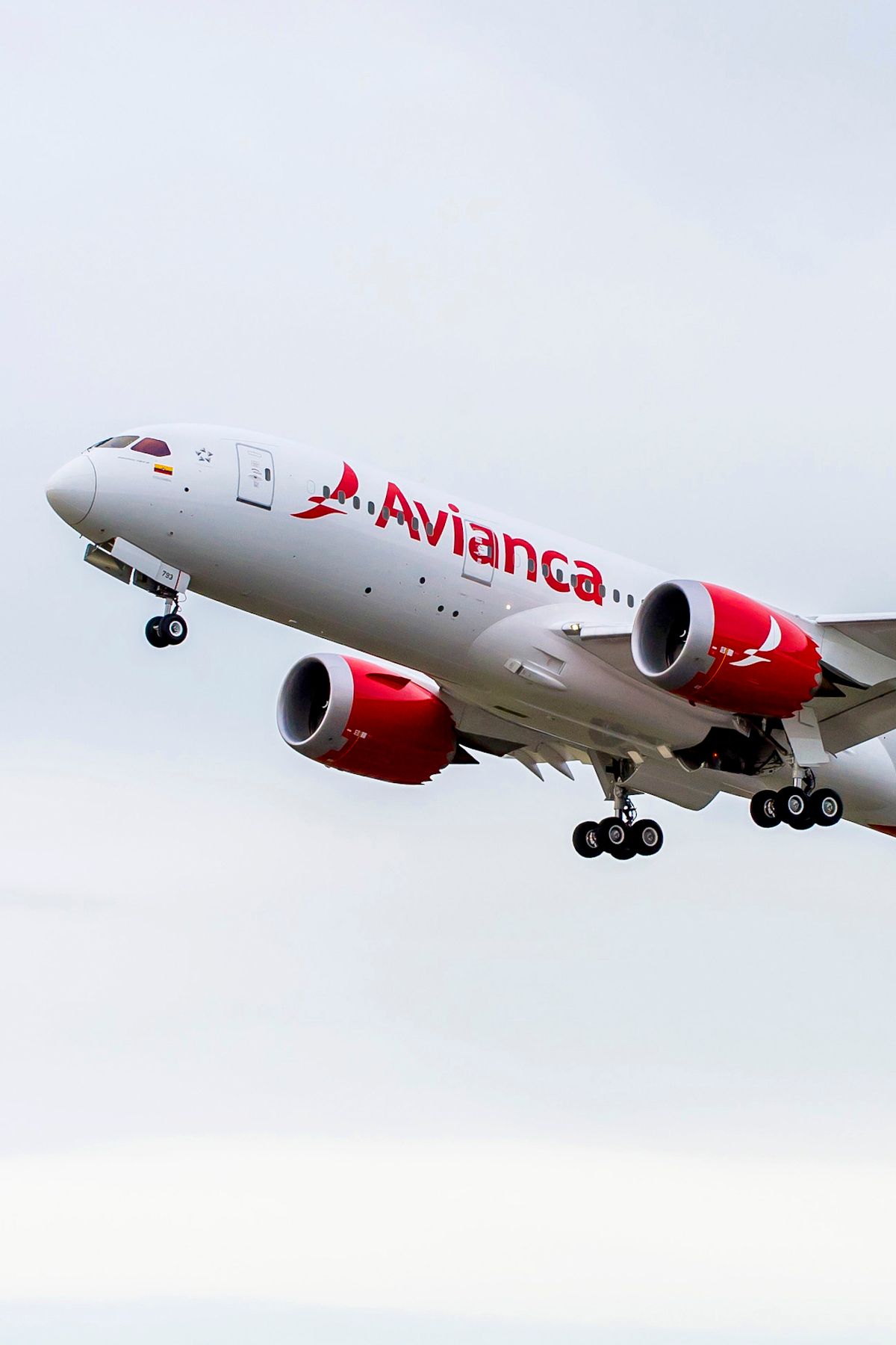 Bonus When Buying Avianca LifeMiles