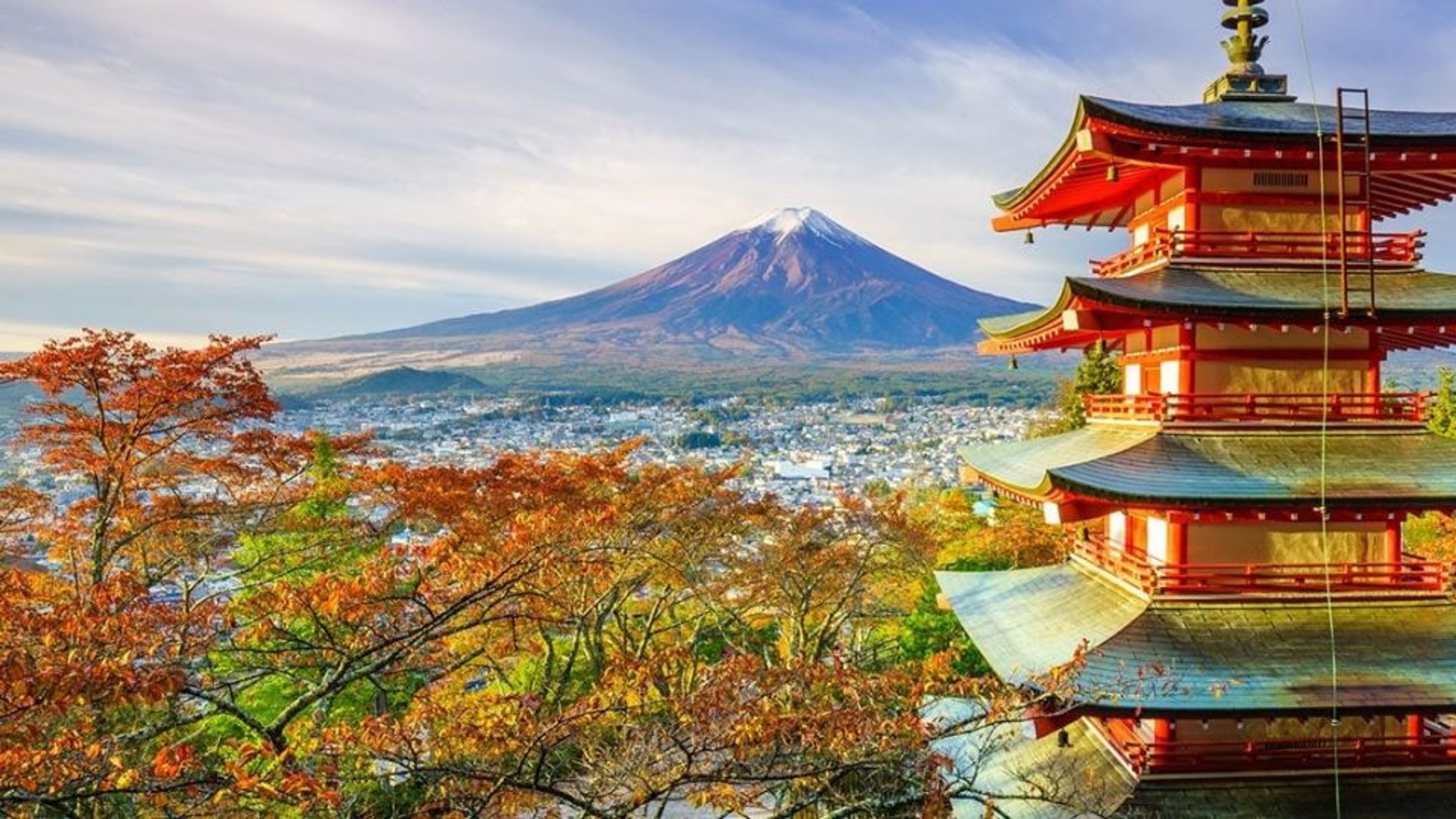 How To Fly To Japan For The Rugby World Cup On Points