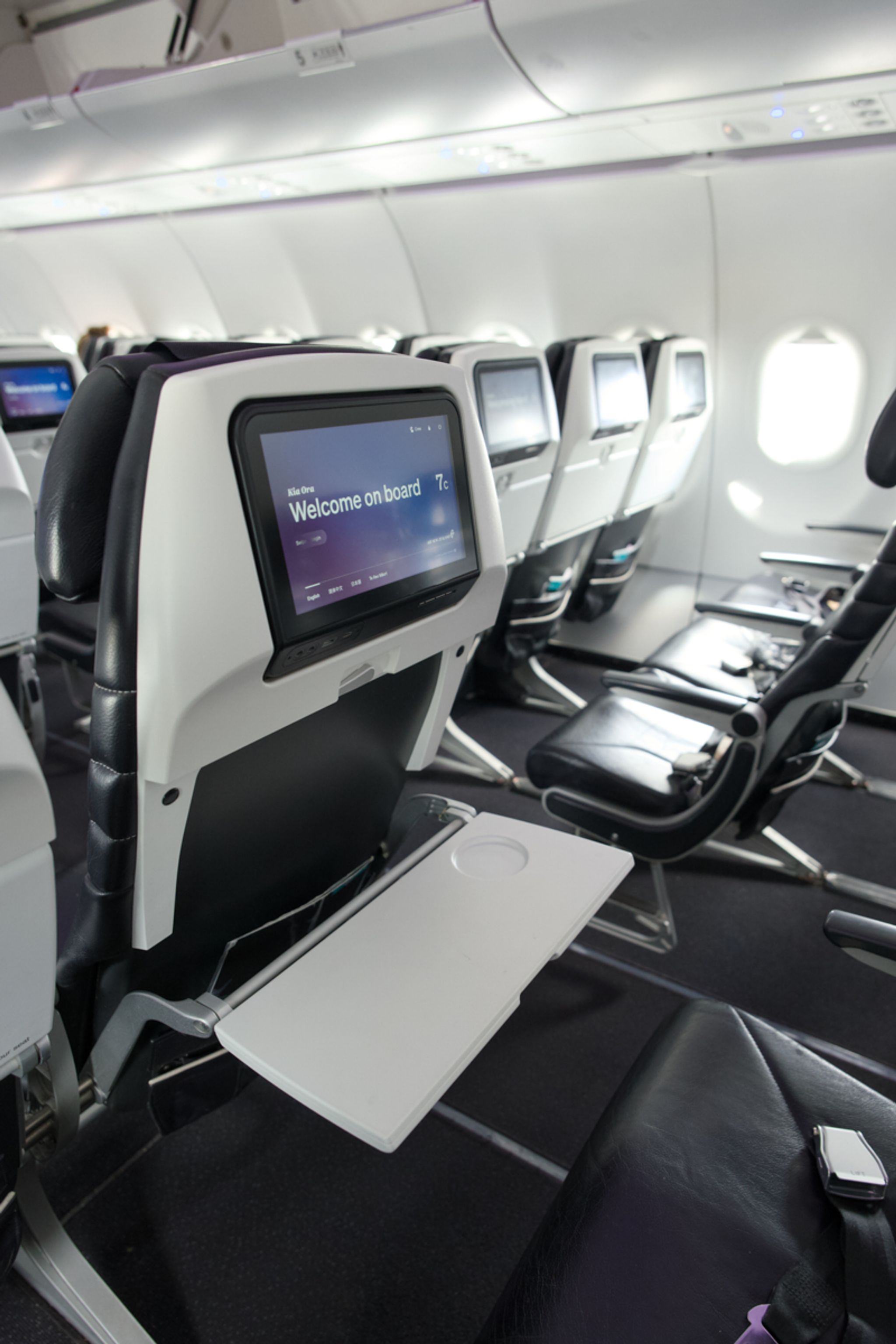 Air New Zealand A320neo economy review