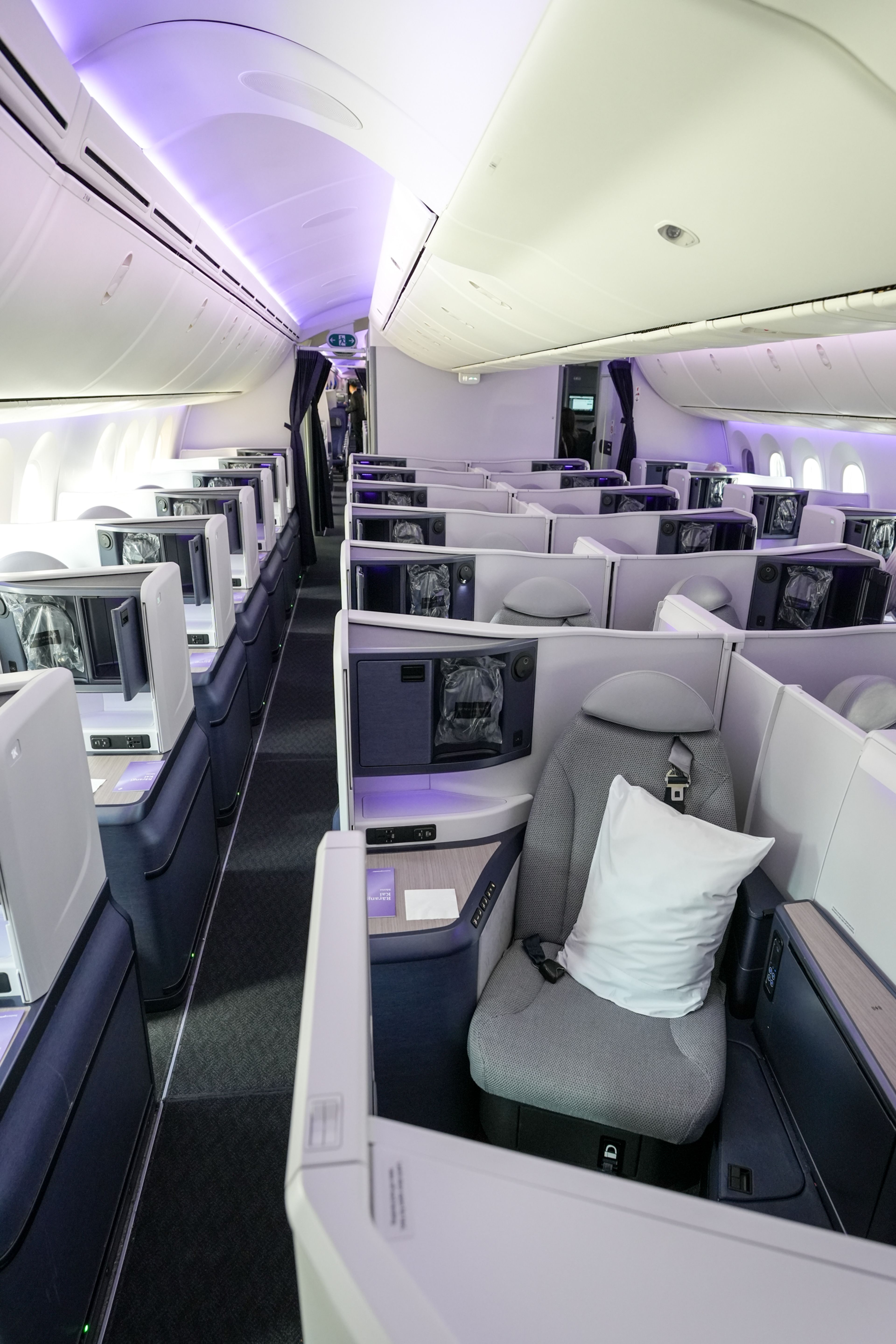 Air New Zealand B787 Business Class Review