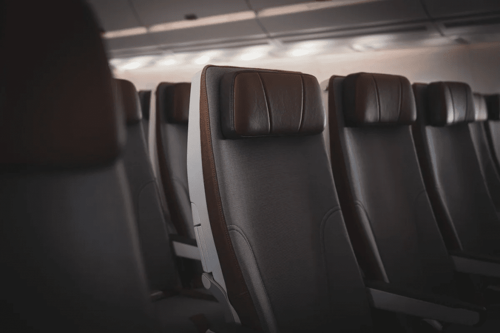 Starlux Airlines Economy 1