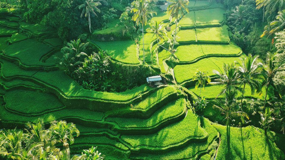 Quarantine Free Bali Visa On Arrival Is Back - Here's How It Works