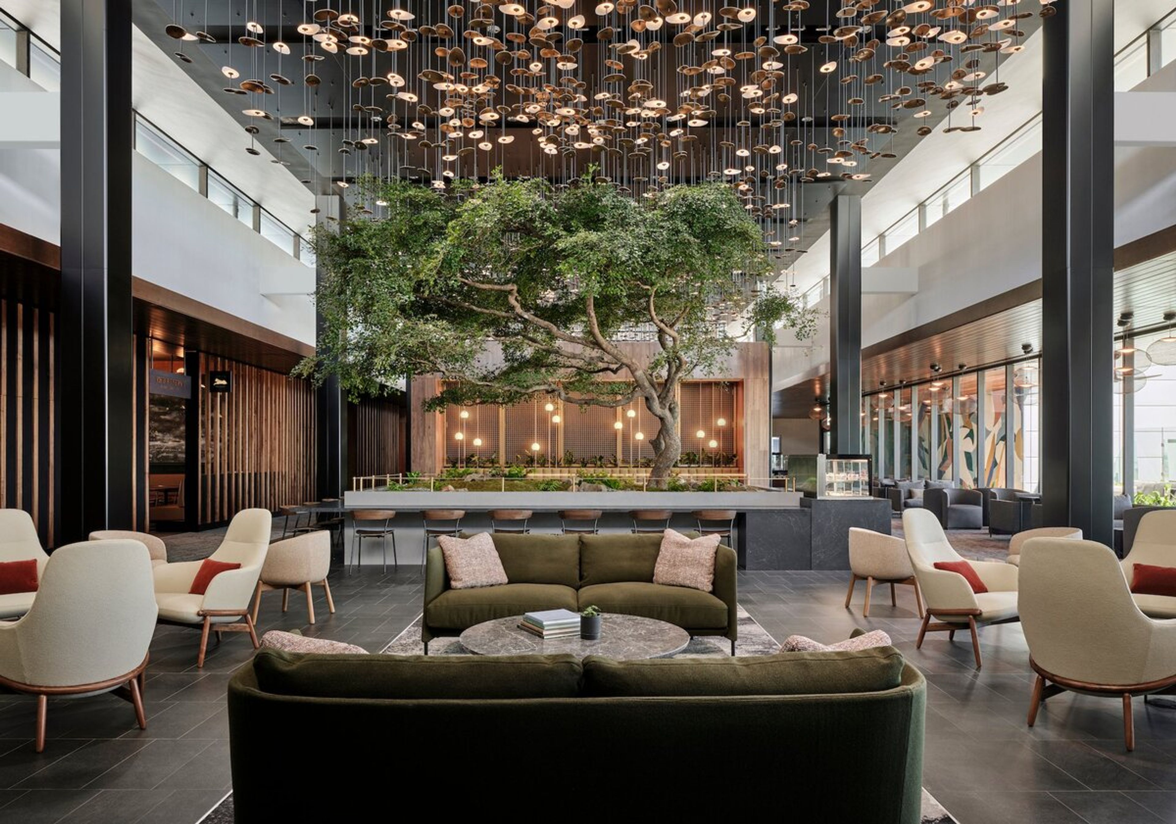 Interchange fees help fund credit card perks like lounge access 