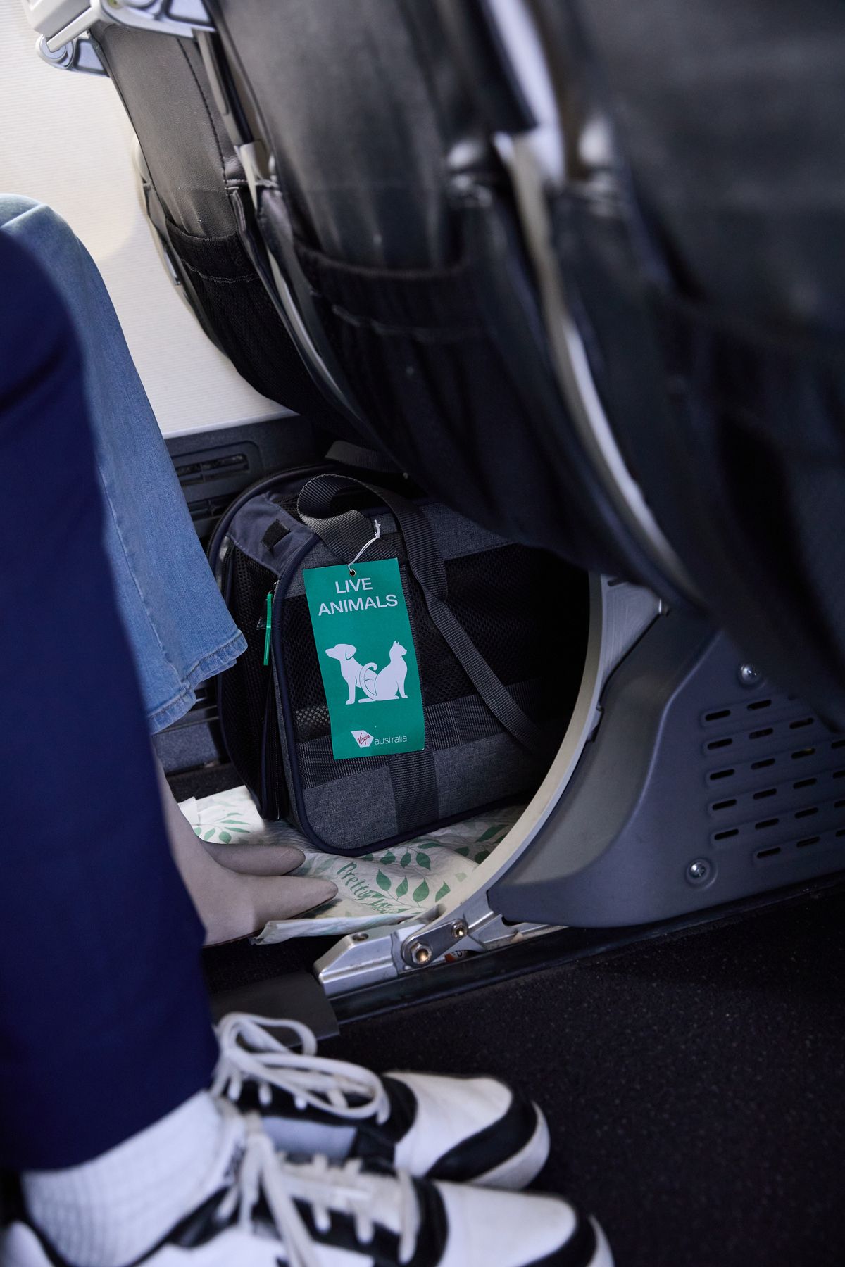 On virgin pet flights all animals must remain under the seat in front